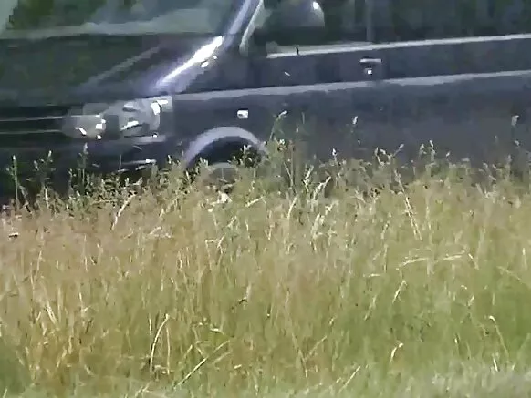 punda wa mkundu wa Kiajentina kutoka mitaani katika video ya kujitengenezea nyumbani, hd.